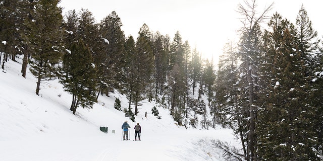 crosscountry skiing yellowstone