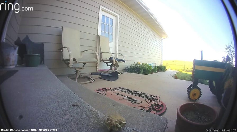 Video captures FedEx driver killing rattlesnake on customer's porch