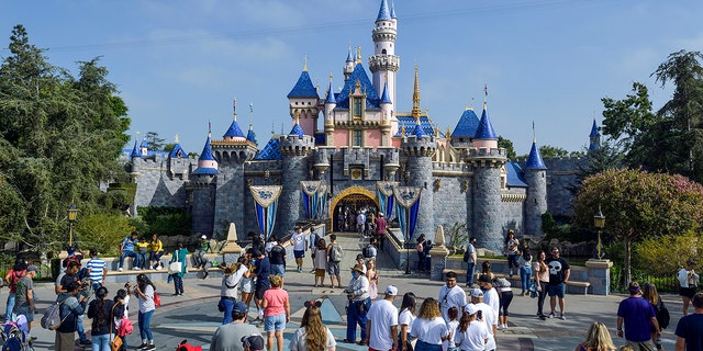 A photo of the Disneyland castle