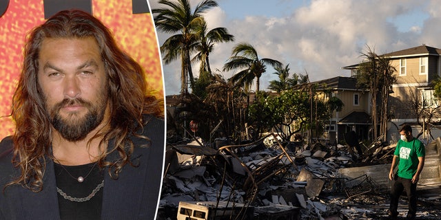 Jason Momoa in a dark blazer with a pink pearl necklace split Palm Trees and massive destruction outside a house in Maui