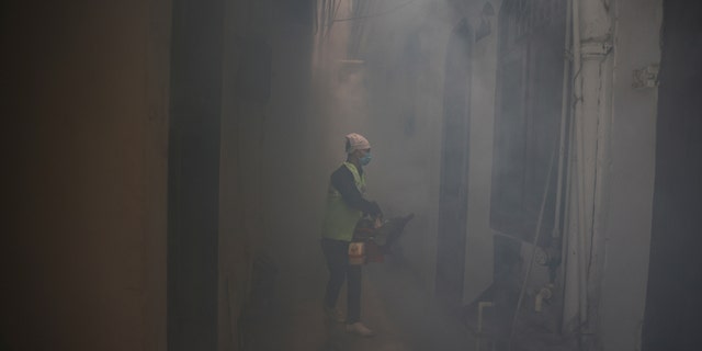 Health worker fumigates interiors