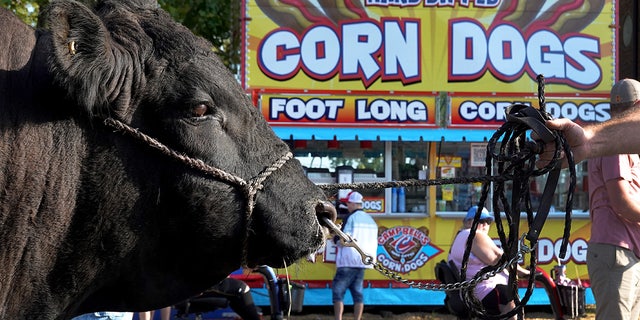 Iowa State Fair corndog stand