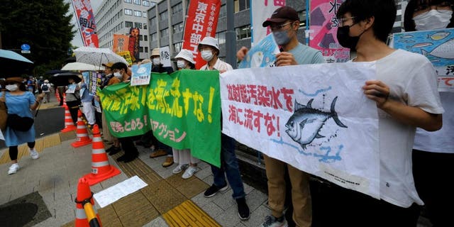 Japan Fukushima nuclear plant protest