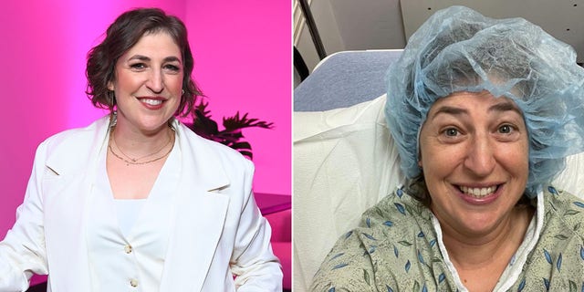 A split image of Mayim Bialik at an event and at a hospital