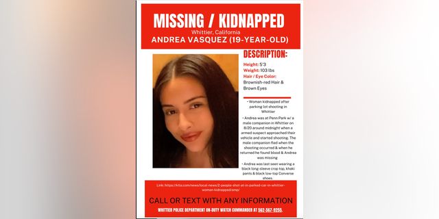 Missing/kidnapped poster for Andrea Vasquez.