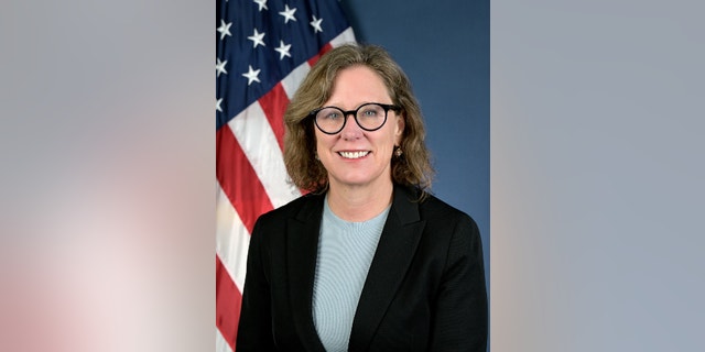 Ann Carlson's official National Highway Traffic Safety Administration portrait.