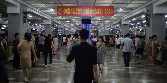 North Korea exhibition