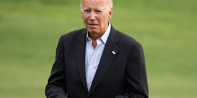Joe Biden on White House lawn
