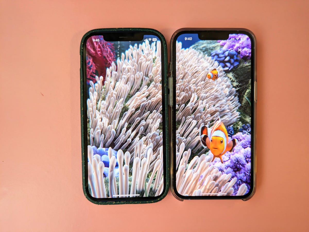 An animated video showing a fish and coral underwater across two iPhones.