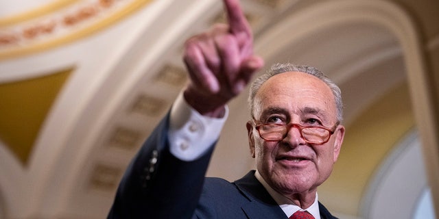 Chuck Schumer pointing