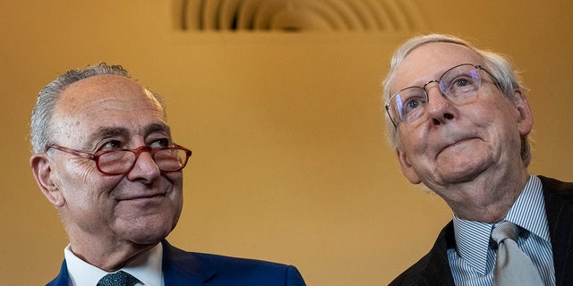 Schumer smirks at McConnell