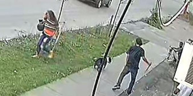 Syracuse New York dog stabbing incident