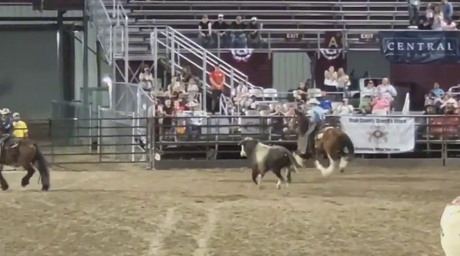 Bull escapes from arena at Utah fairgrounds