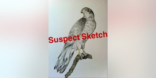 humorous "suspect sketch" of bird 
