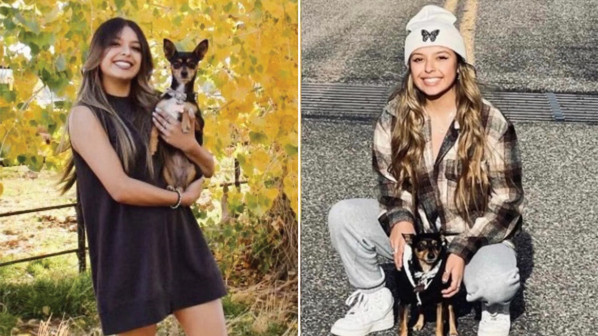 Young girl holds her small dog in two photos.