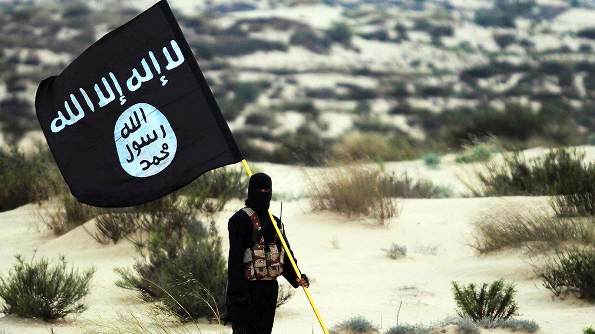A ISIS soldier and flag