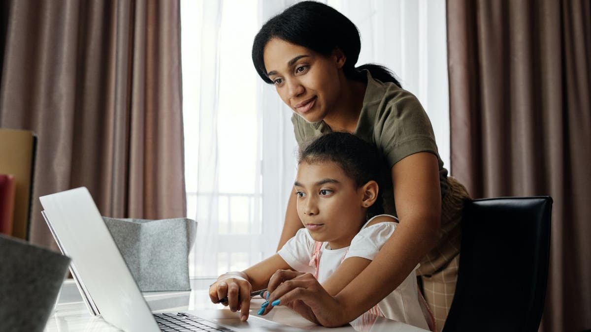 Mom and daughter use a computer