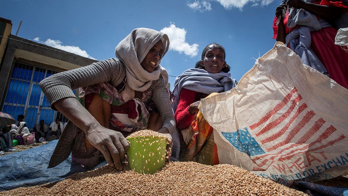 Ethiopian woman scoops wheat