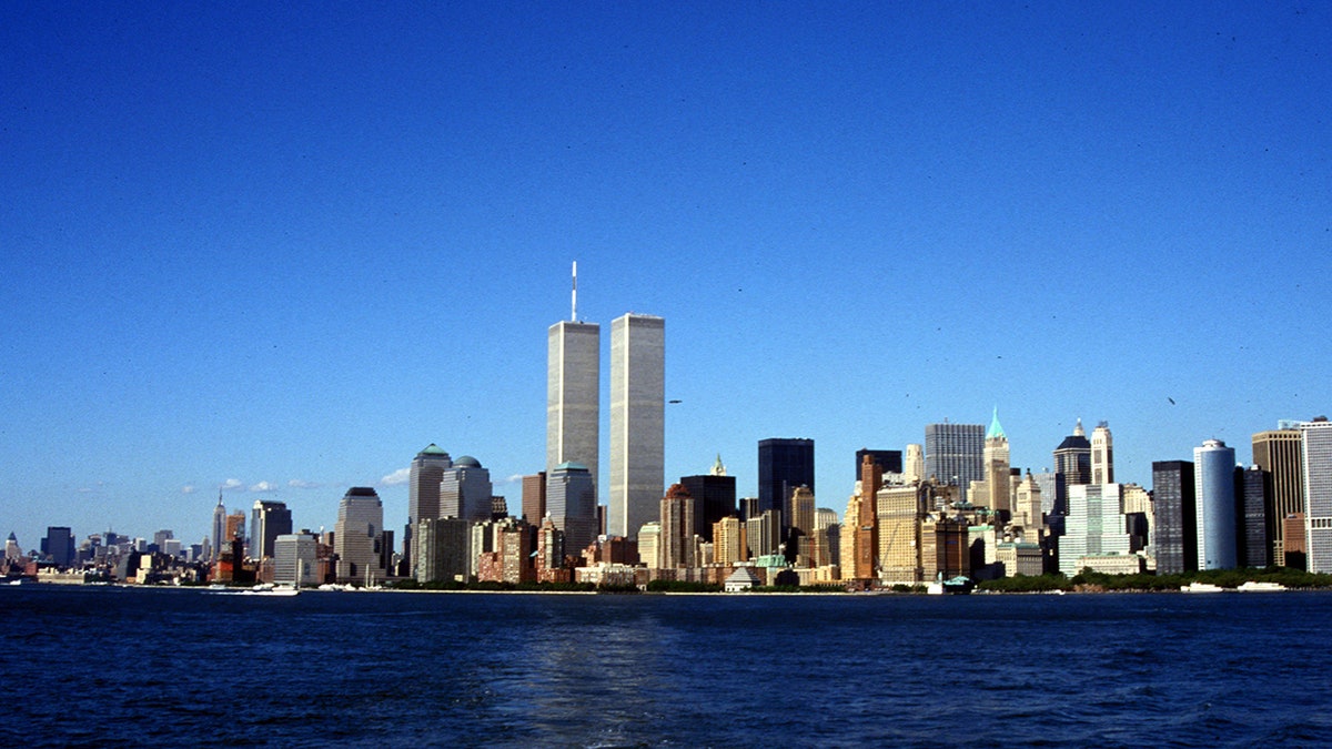 General image of Twin Towers