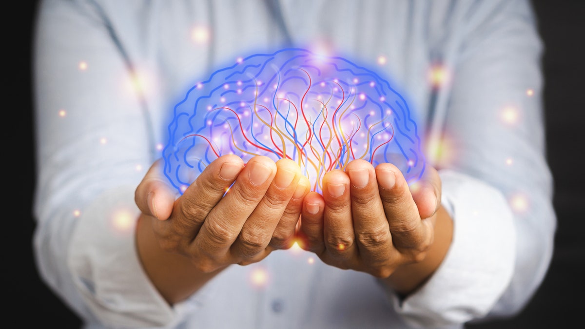 brain image shown on hands in stock photo
