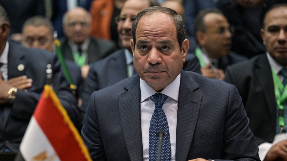 Abdel Fattah al-Sisi, Egyptian president