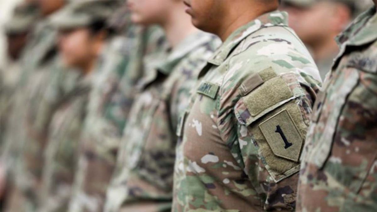 U.S. Army Soldiers in formation