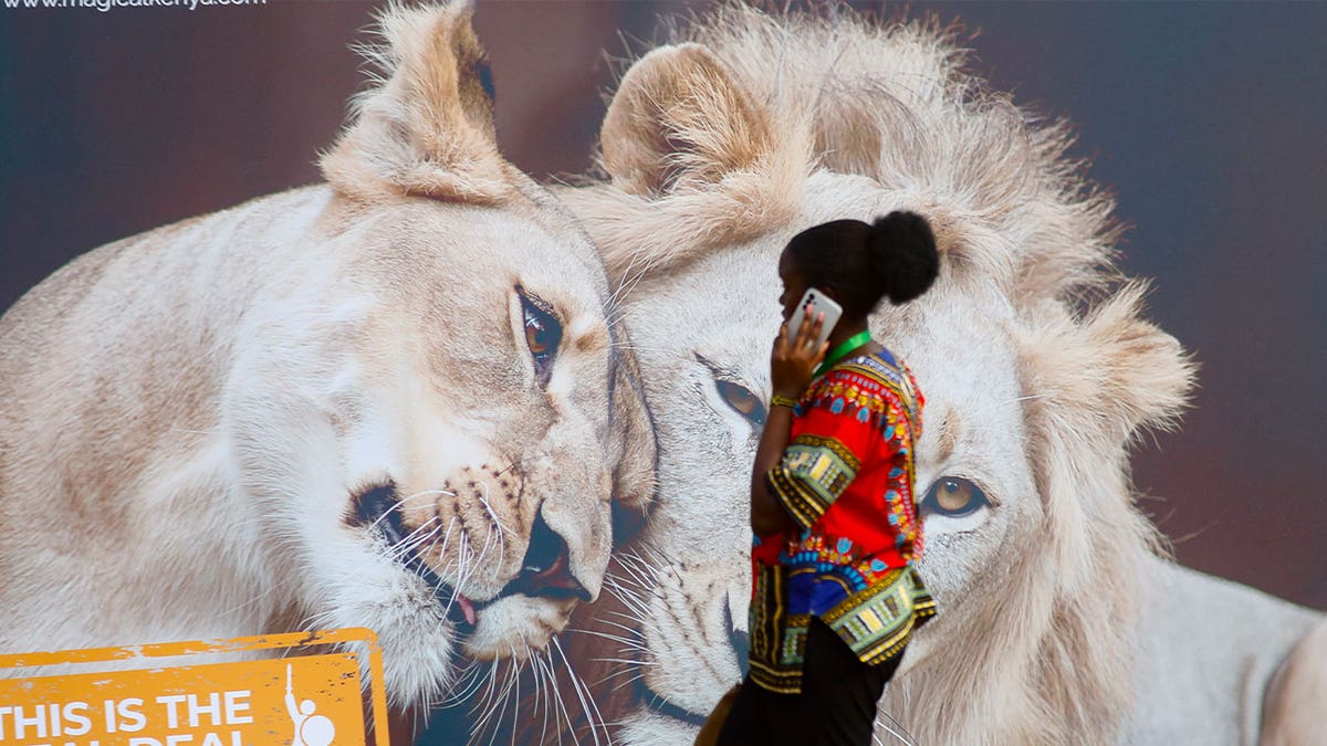woman walks in front of lion mural