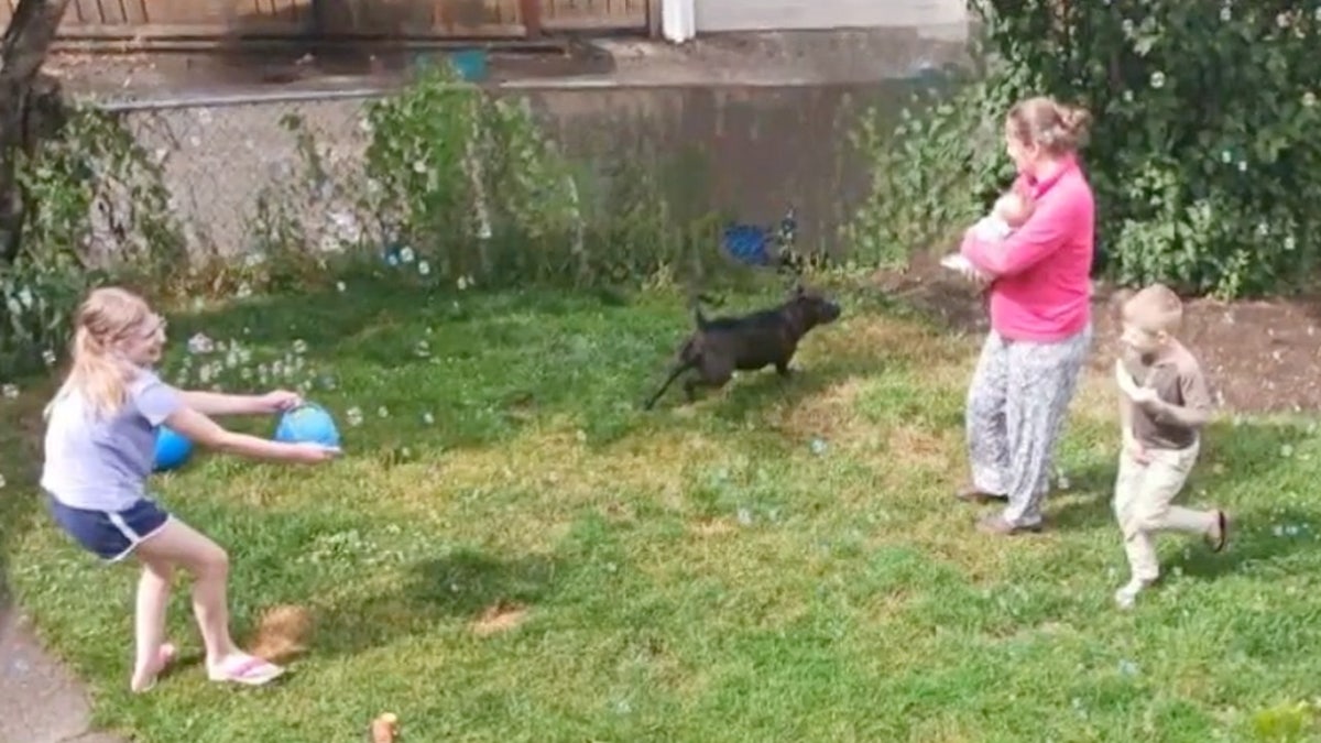 Mom holds infant as older children play with dog.