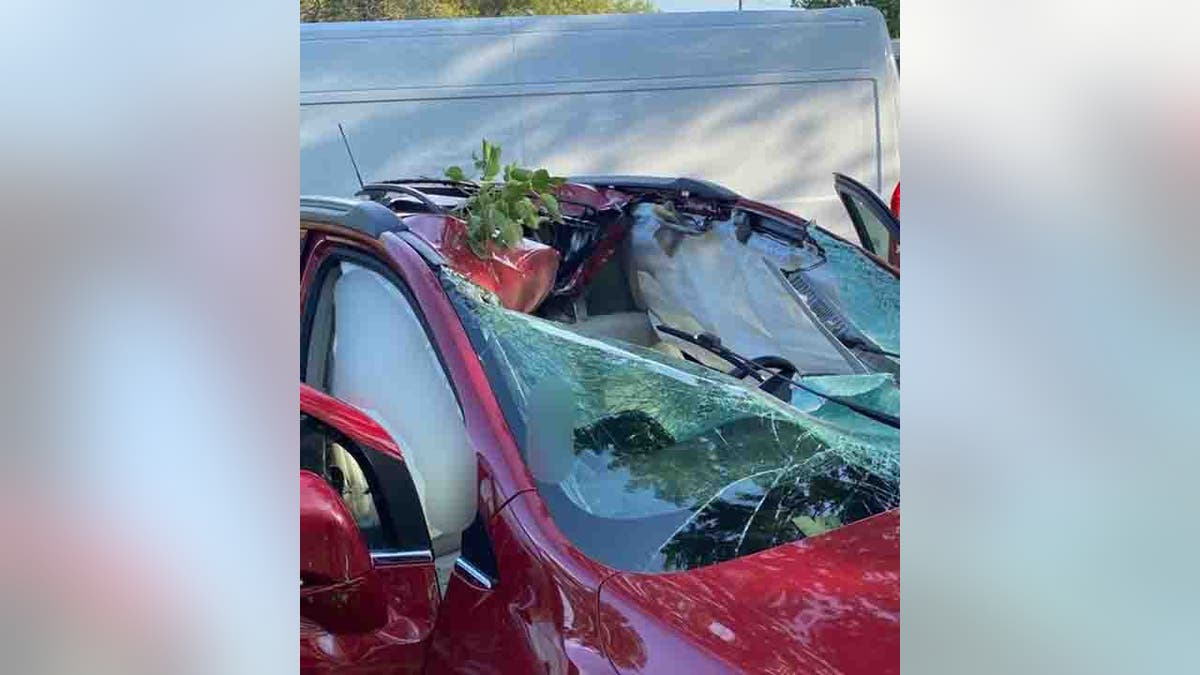 wrecked windshield