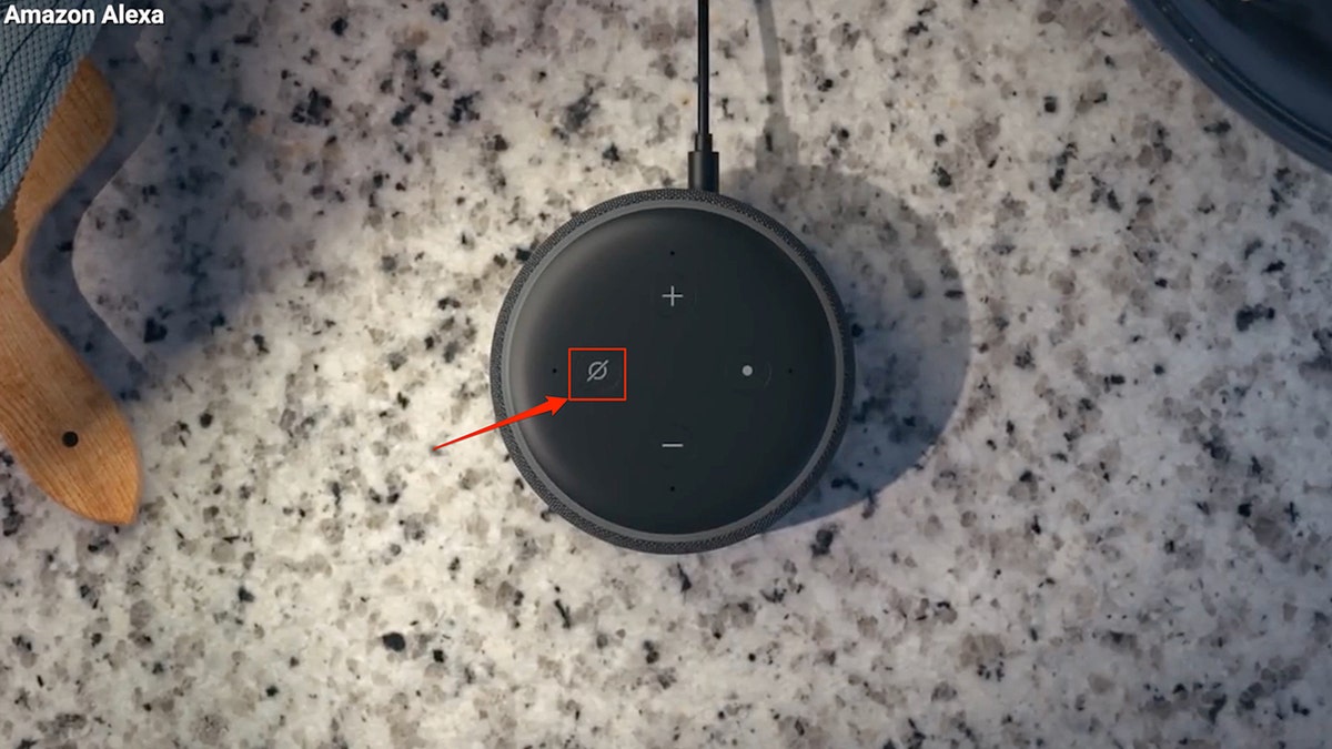 Photo of an Amazon Alexa device.