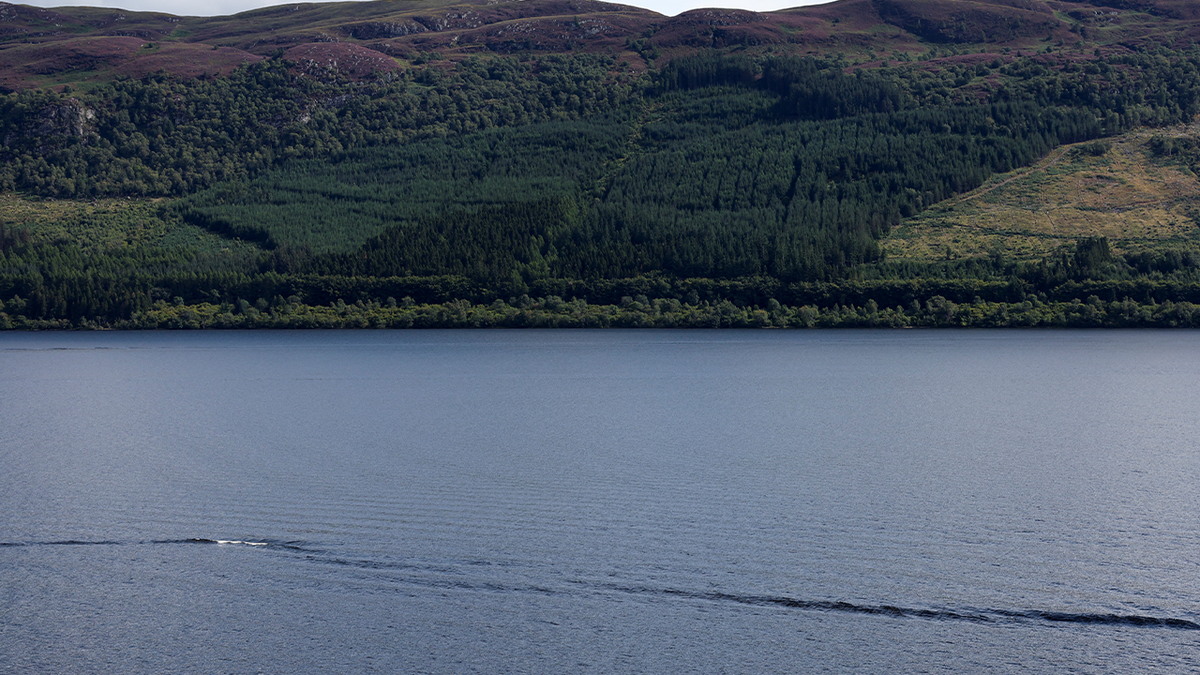 Loch Ness view