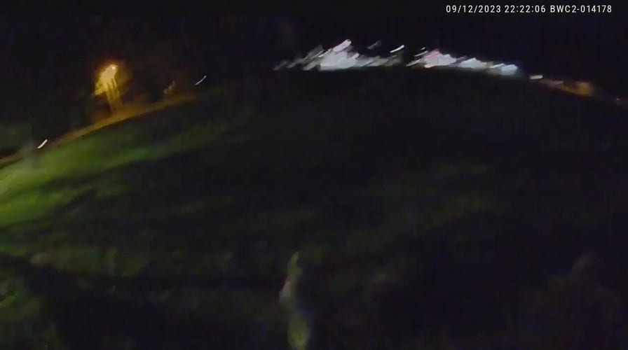 Missouri police body camera video shows officers chasing after escaped pet lemur