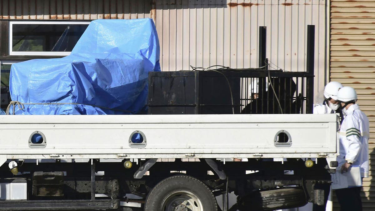 bear in cage on a truck