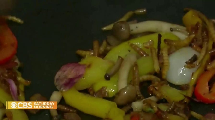 CBS airs segment suggesting incorporating bugs into food for climate purposes
