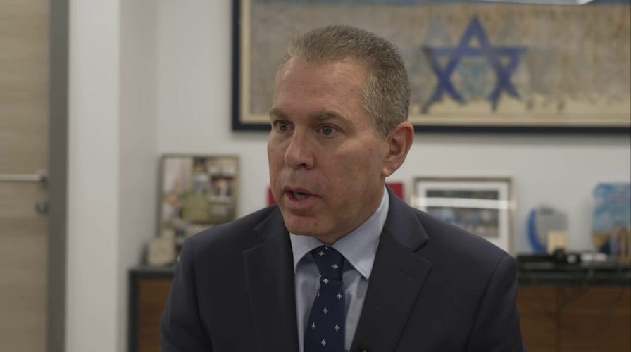 Israel's UN ambassador appalled by Hamas support, grateful for Americans who support Israel