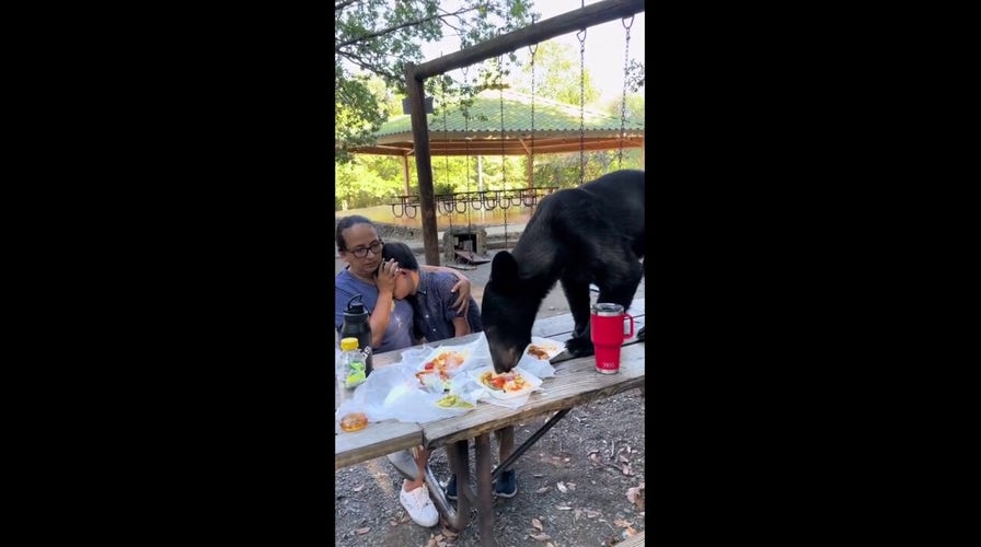 Mother shields son's face as bear devours food on picnic table in Mexico