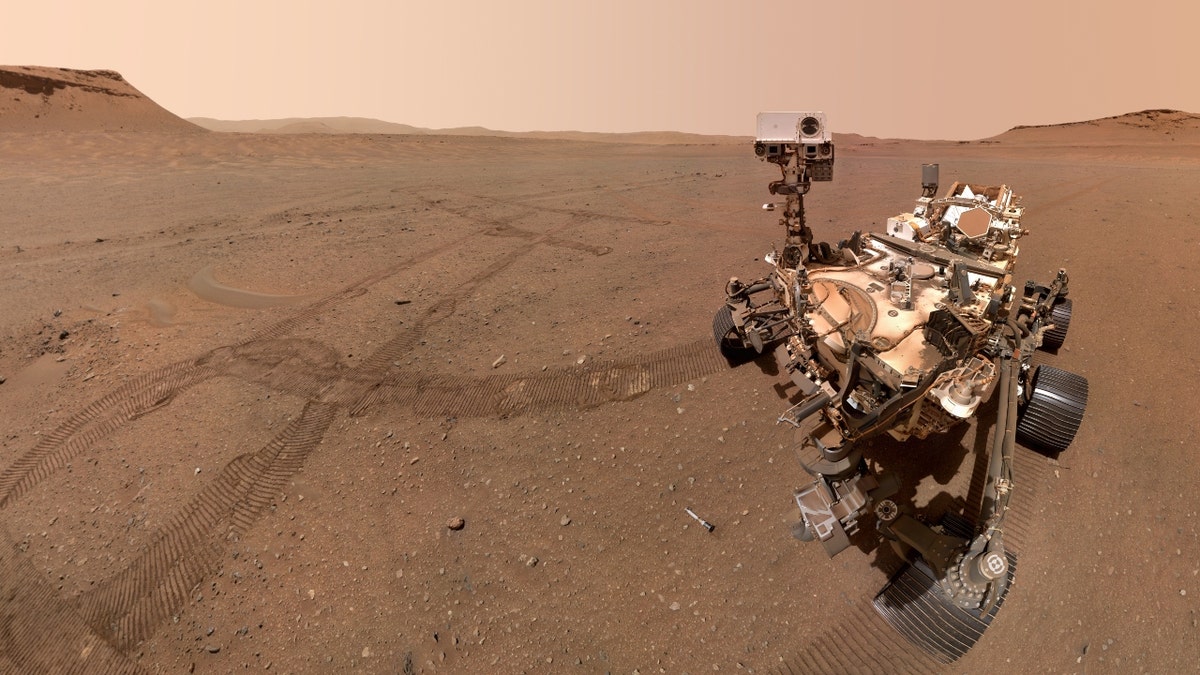 NASA's Perseverance Mars rover took a selfie