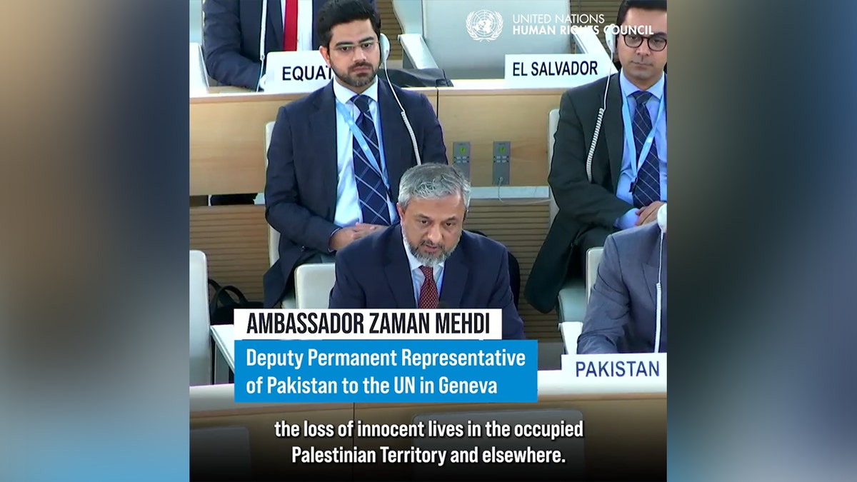 UN Ambassador Zaman Mehdi