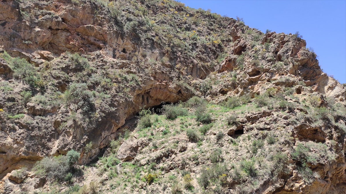 Entrance of Cueva de los Murciélagos de Albuñol 