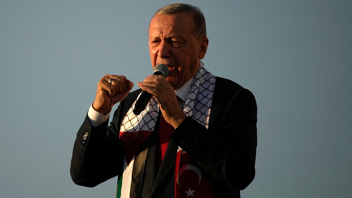 Turkish President Erdogan at rally in Turkey
