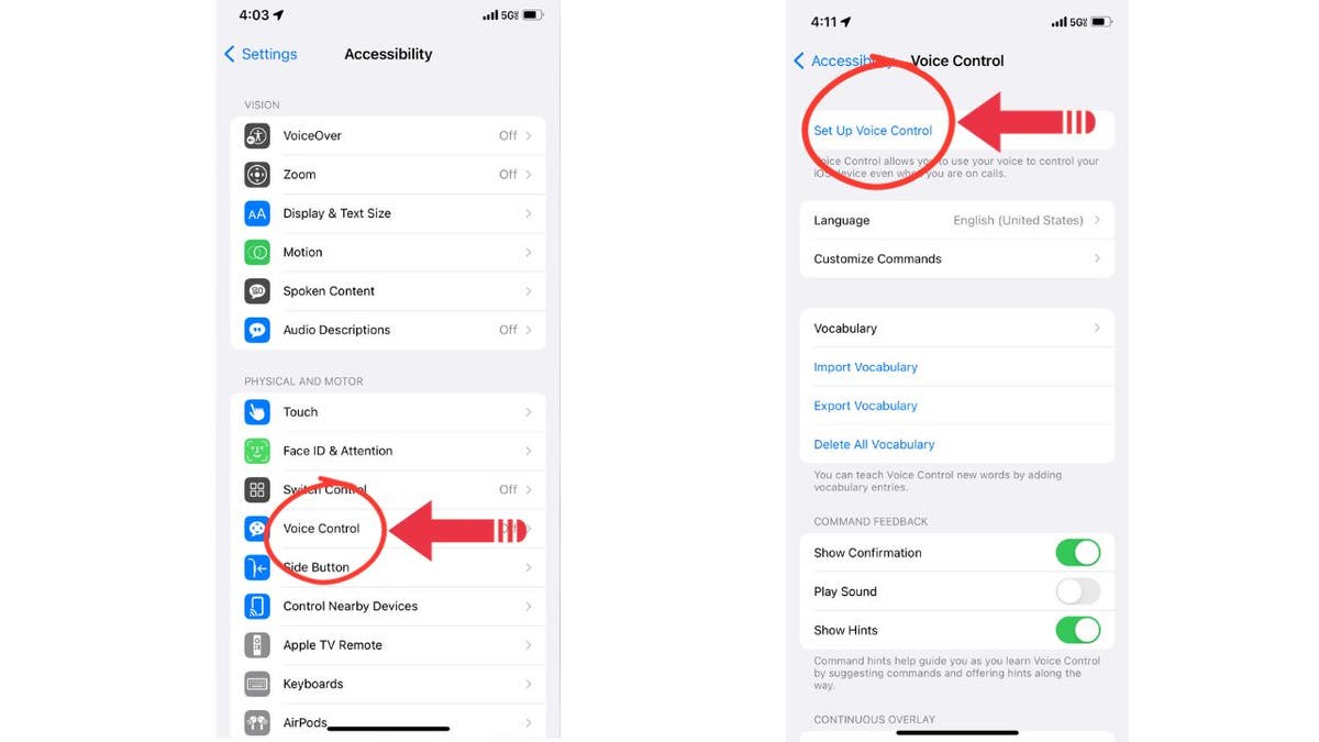 iphone voice control setup