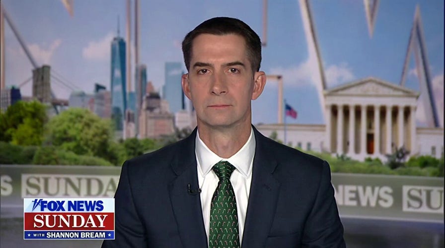 Hamas withholding US hostages is ‘one small example’ of Biden’s weakness on the world stage: Sen. Tom Cotton