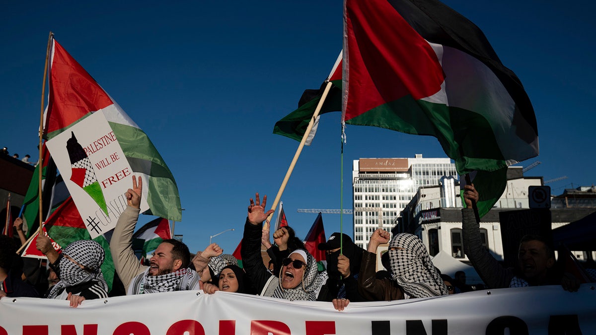 pro-Palestine demonstrators in Ottawa