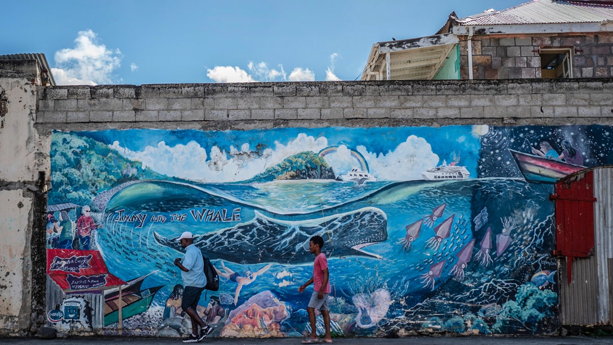 Whale mural in Roseau, Dominica