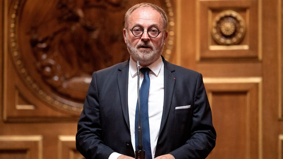 French Senator Joel Guerriau speaking