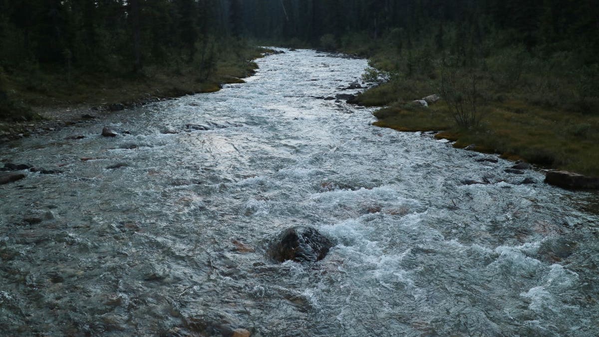 river flowing through Canadian Rockies