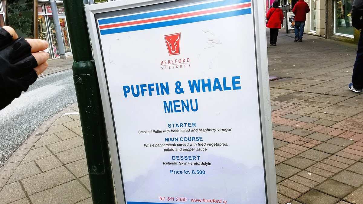 Sign displayed with the dinner special in Reykjavik