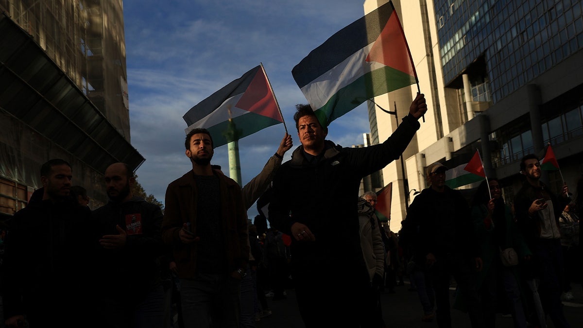 Protesters wave Palestinian flags 
