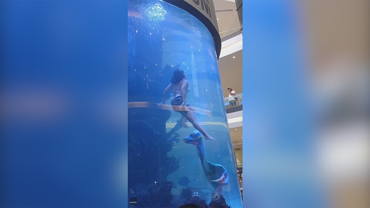 Mermaid in tank