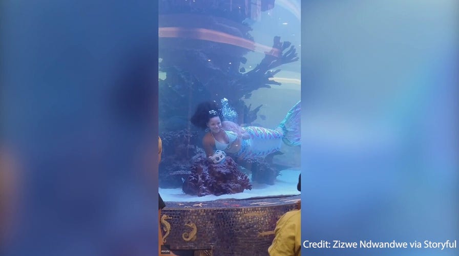 Quick thinking ‘mermaid’ escapes drowning after tail gets caught in aquarium tank